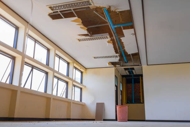 Best Flood damage cleanup  in Holly Ridge, NC