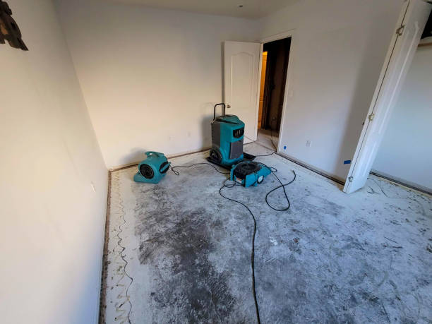 Best Ceiling water damage repair  in Holly Ridge, NC