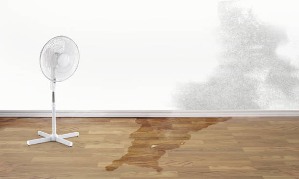 Best Water damage restoration near me  in Holly Ridge, NC