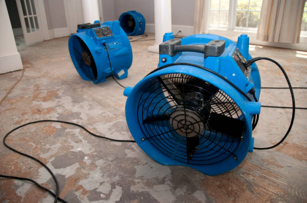 Best Water damage restoration insurance claims  in Holly Ridge, NC