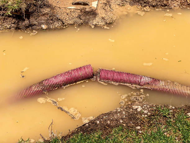 Best Sewage cleanup and water damage restoration  in Holly Ridge, NC