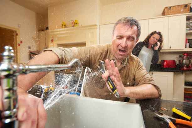 Best Carpet water damage restoration  in Holly Ridge, NC
